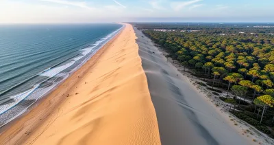 Immersion dans la forêt et les lacs de La Teste-de-Buch pour observer les espèces locales